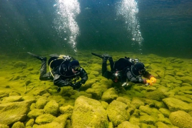 На Телецком озере создали первую в России подводную экотропу
