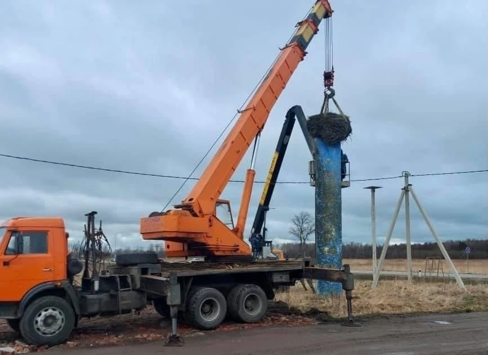 Перенос гнезда в Нивенском