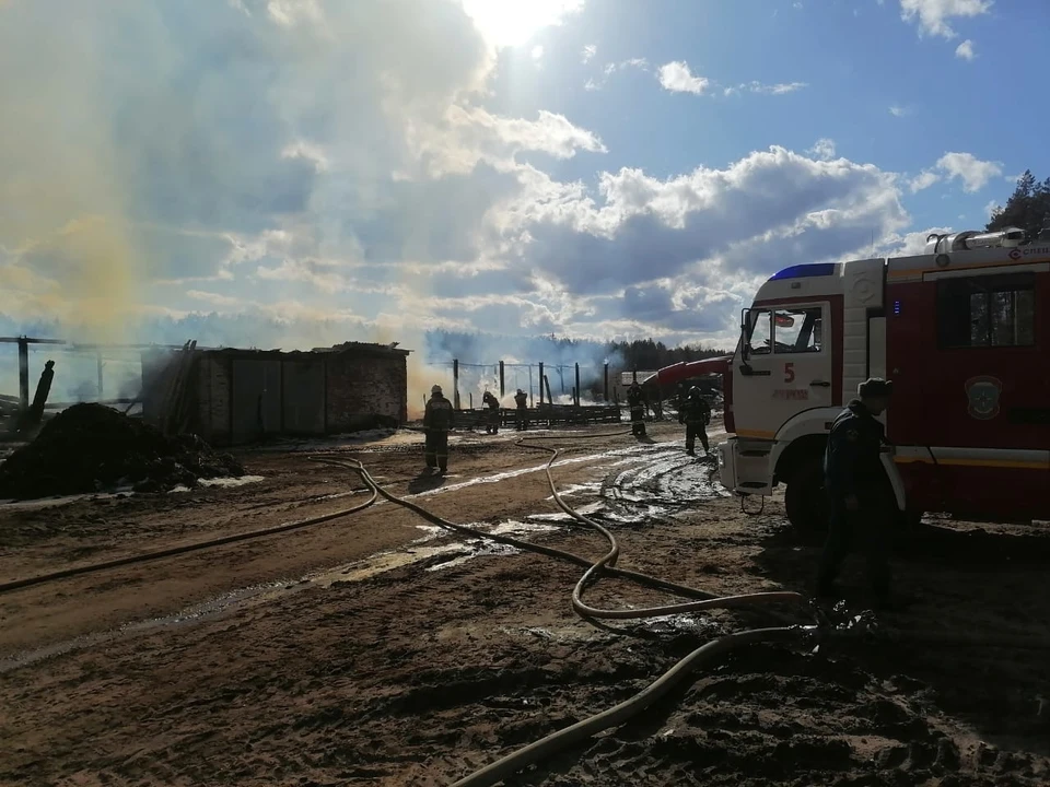 Фото с сайта ГУ МЧС по Владимирской области