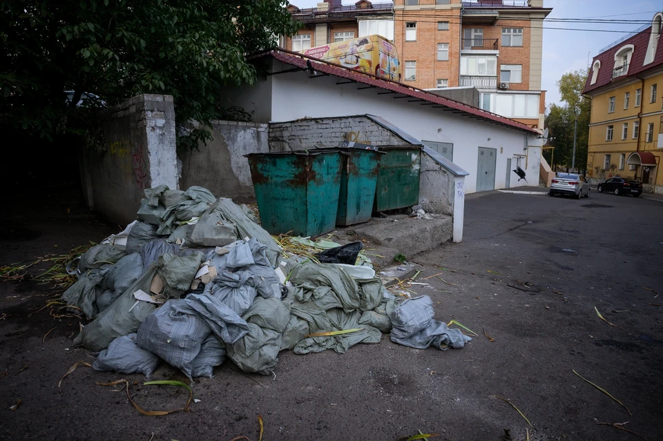 Орловцев попросили не ссыпать сухие листья в мусорные контейнеры