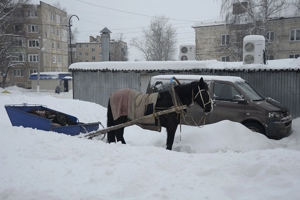 Медики смогли найти лошадь в соседней деревне, но добраться вовремя так и не смогли.