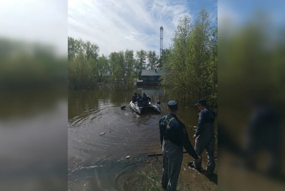 Фото: Администрация Соликамского городского округа