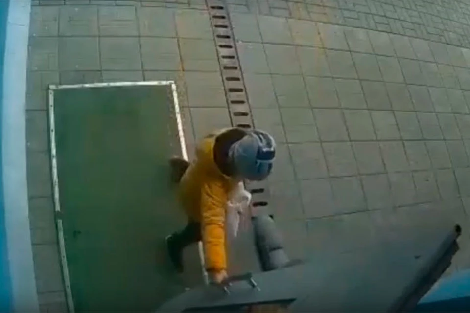 Скрин видео