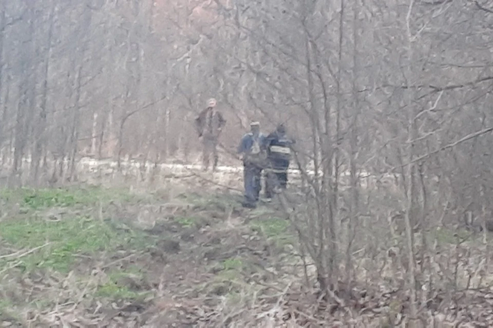 Услышано в лесном