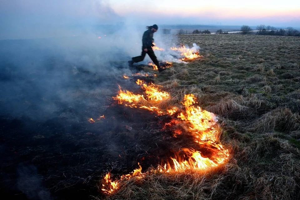 Сжигание сухой травы может привести к трагическим последствиям, особенно в ветреную погоду.