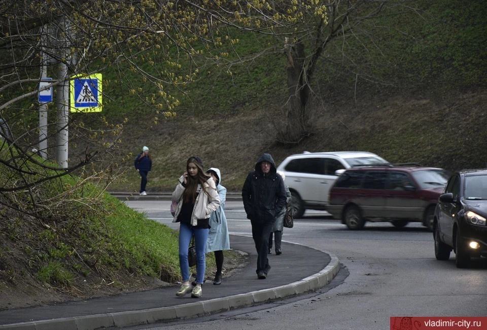 Фото: администрация города Владимира