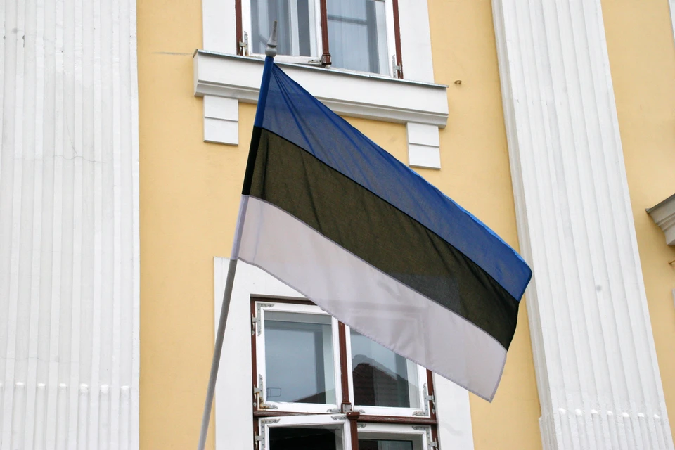Посольство России в Эстонии назвало безосновательной высылку российских дипломатов из страны