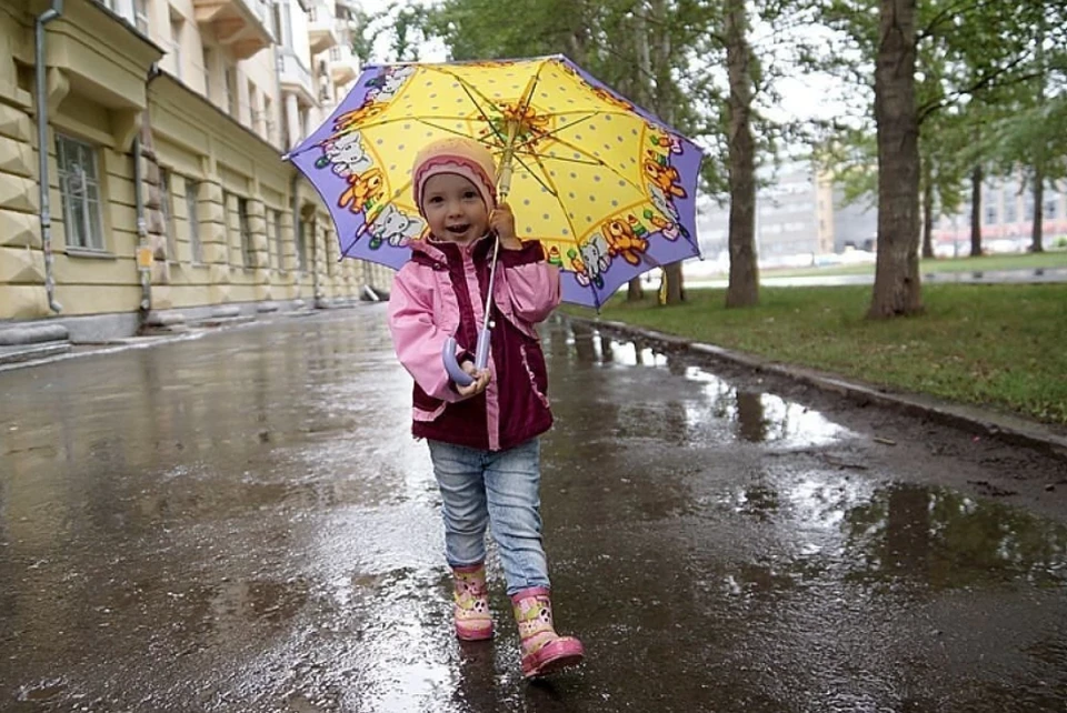 Погода в Краснодаре на 26 апреля 2021 года: ожидаются похолодание и усиление ветра
