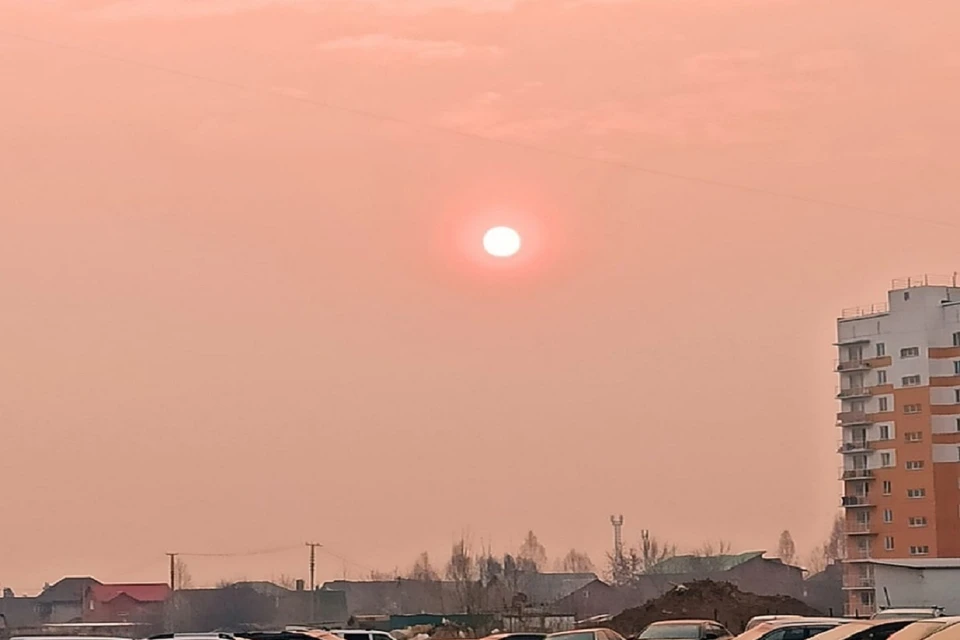 Солнце над Новосибирском окрасилось в кровавый цвет из-за смога. Фото: "АСТ-54".