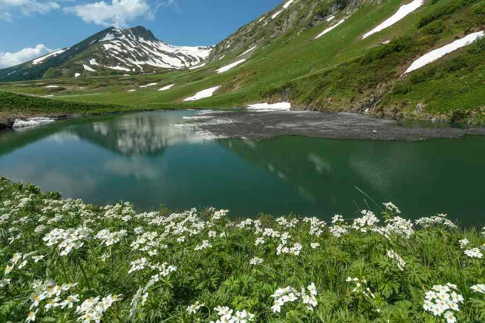 Фото: sochi.ru.