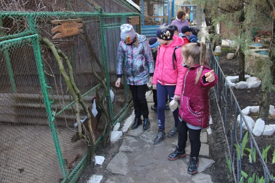Во время экскурсии дети могли не только увидеть, но даже потрогать и покормить некоторых питомцев зоопарка. Фото: сайт ОД «Донецкая Республика»