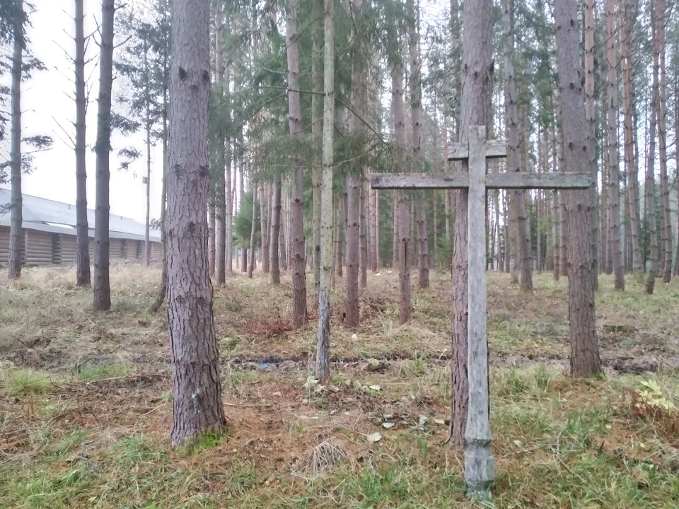 Здесь, в лесах у деревни Дудкино комбат Иванов принял свой последний бой.