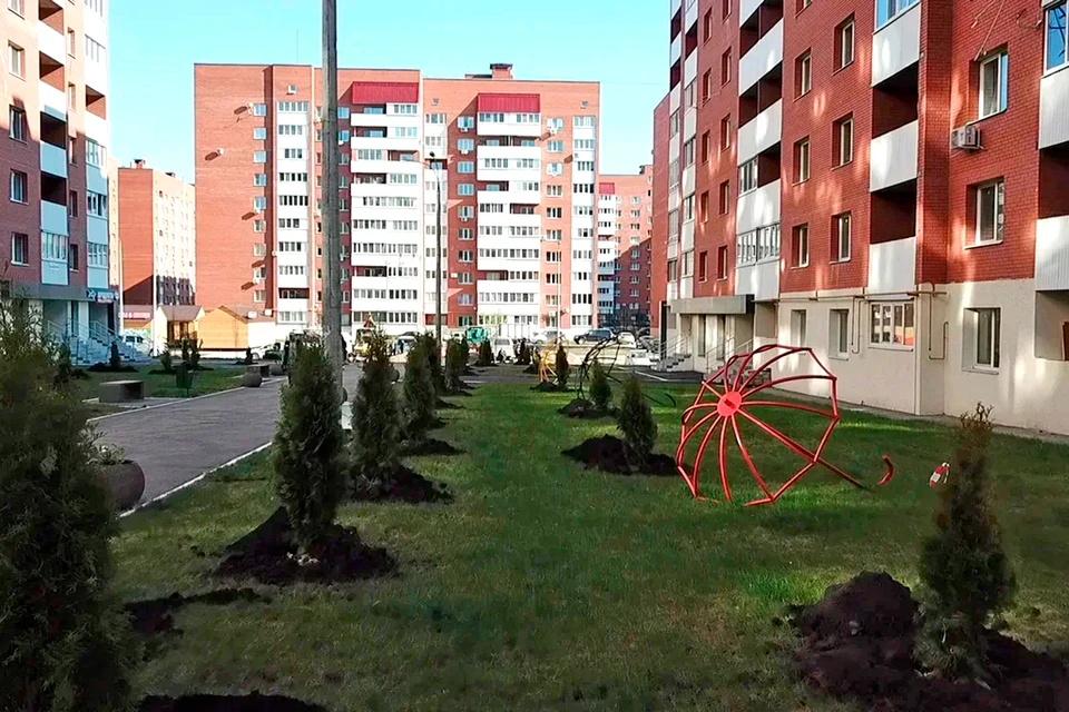 На аллее зонтиков появились ели и туи.
