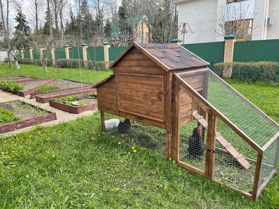 Губернатор Орловской области построил за майские выходные курятник. Фото: https://vk.com/klychkov_andrey_official
