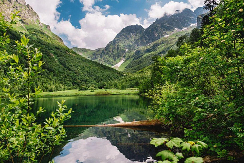 Фото: sochi.ru.
