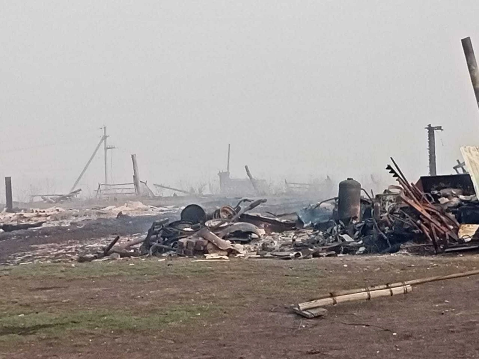 Так сейчас выглядит сгоревшая деревня. Фото: ГУ МЧС России по Омской области