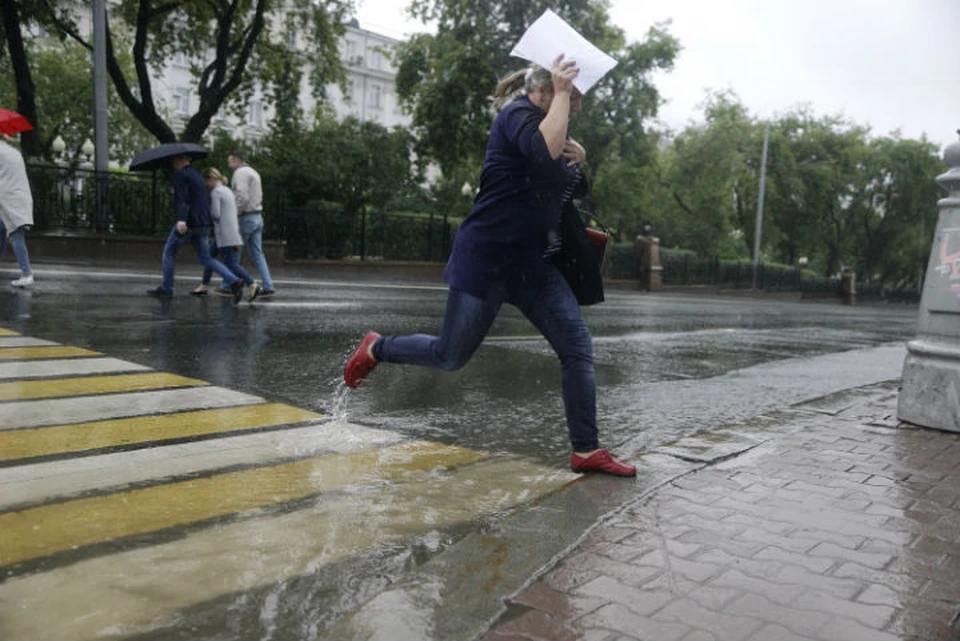 Центральным регионам России, в том числе и Ярославской области, в ближайшие дни грозит циклон