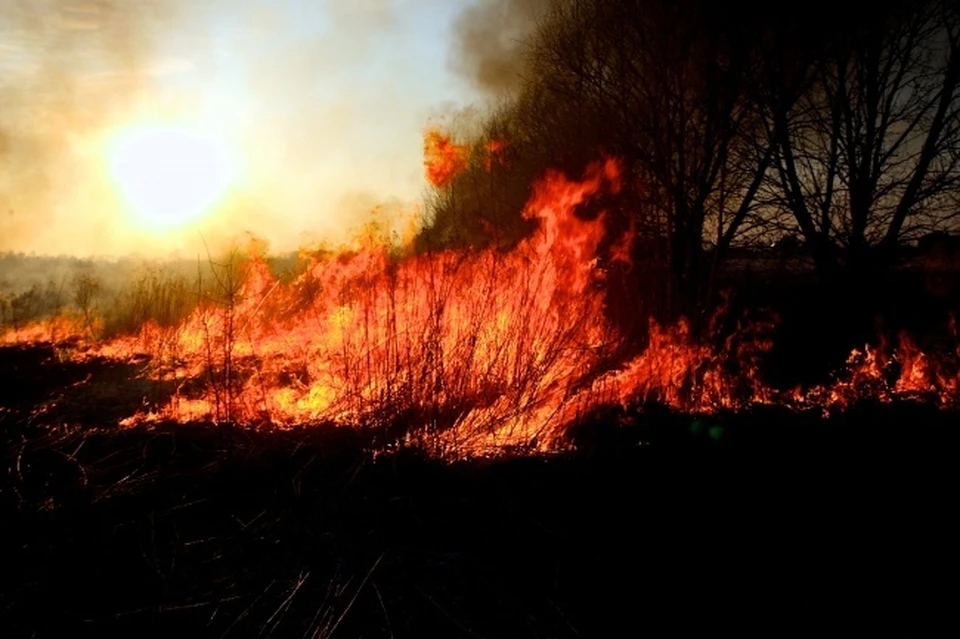 Жителю Мошковского района, по вине которого сгорело 100 домов, грозит уголовное наказание.