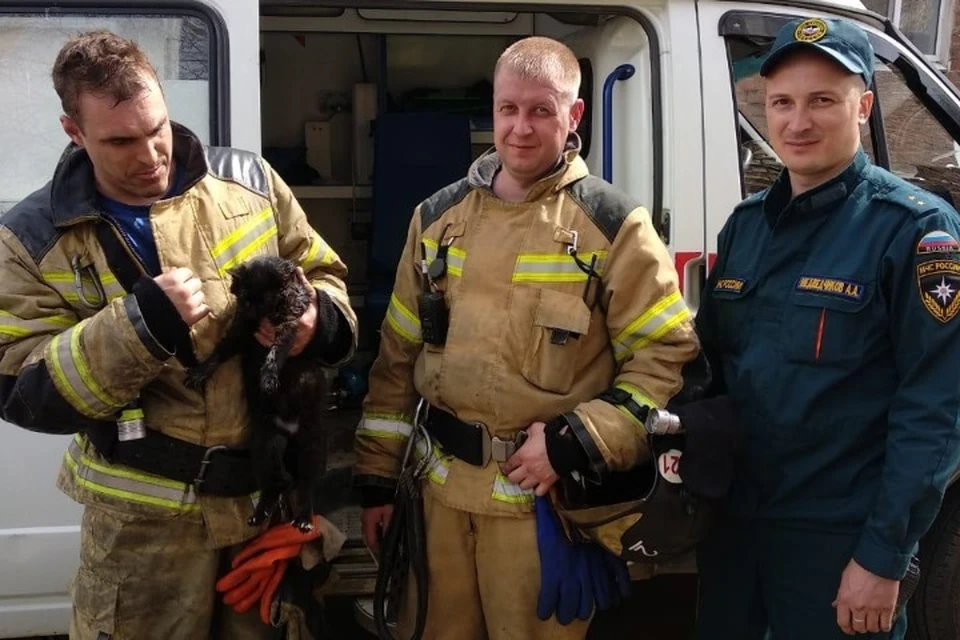 Пожарные откачали на пожаре в Иркутске наглотавшегося дыма кота.