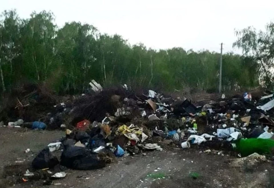 Свалка образовалась в километре от села, где живет Полежаев.