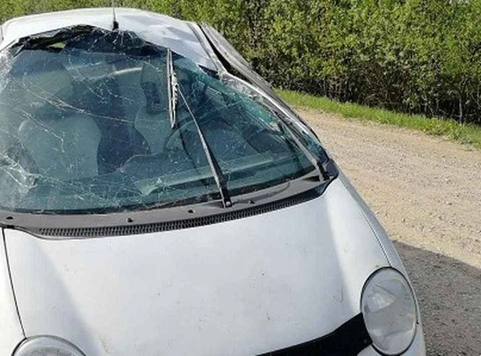 В Кардымовском районе пассажир пострадал после опрокидывания Daewoo Matiz. Фото: ГИБДД России по Смоленской области.