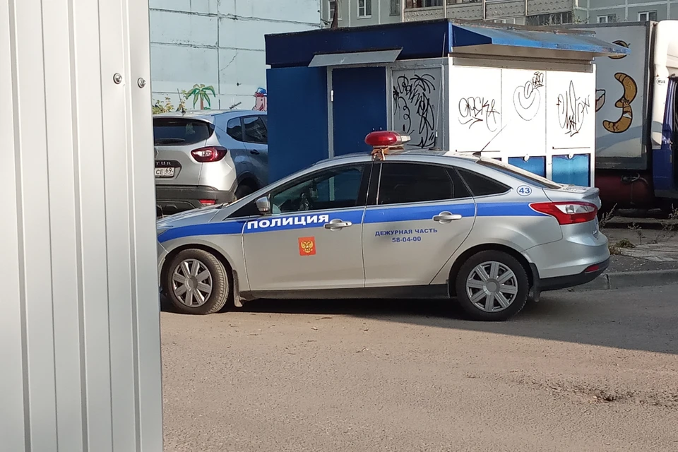 Подозреваемого в грабеже задержала полиция