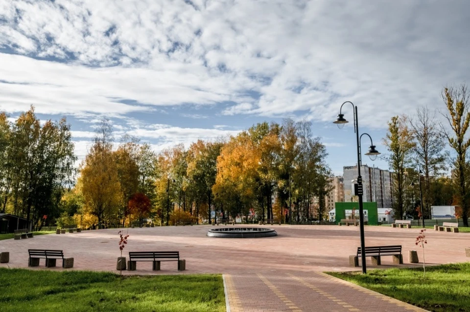 Парк соловьиная роща в смоленске