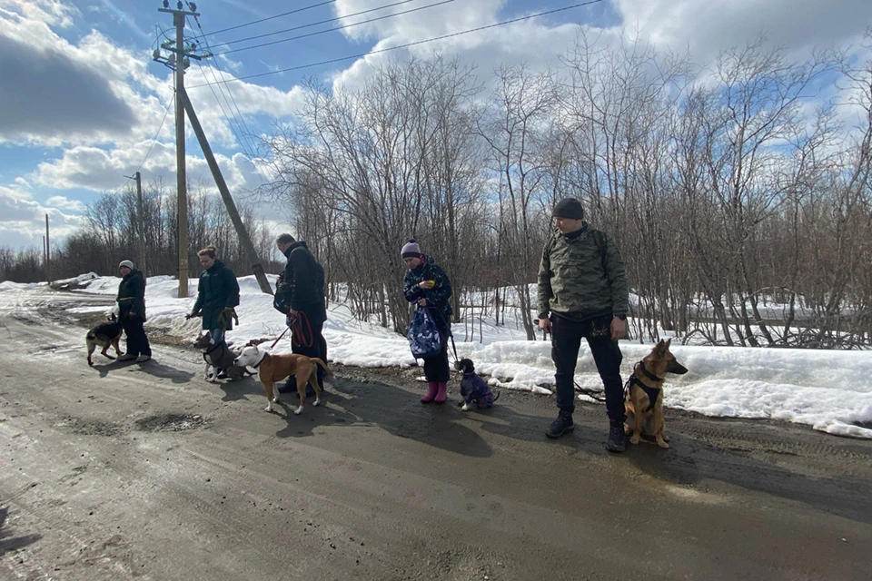 Секс знакомства в Мурманске