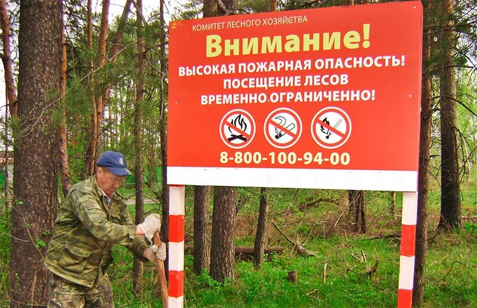 Запрет на посещение. Ограничение посещения лесов. Запрет на посещение лесов. Посещение лесов ограничено. Аншлаг ограничение посещения лесов.