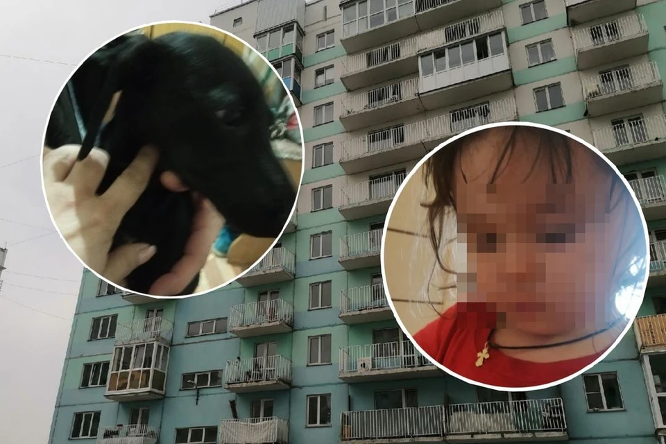 Опер живет в этой семье уже 7 месяцев. Фото: Анна ПАШАГИНА/Ольга САГАН