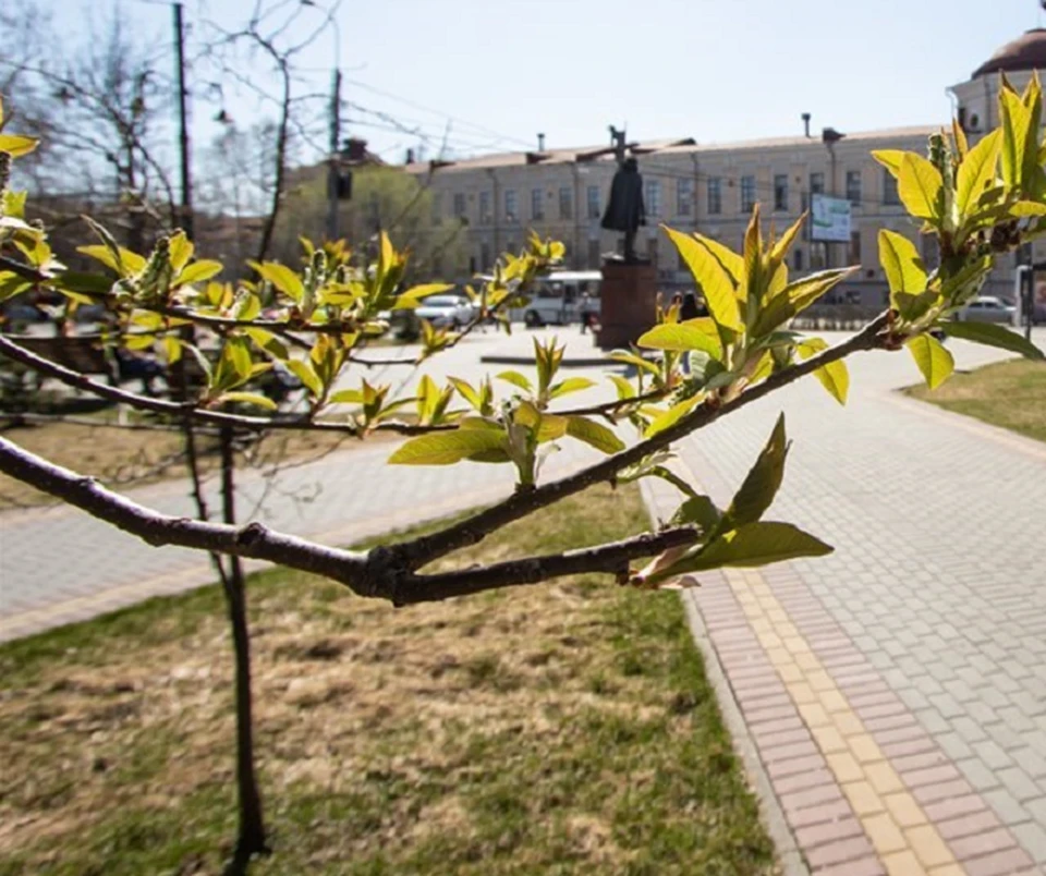 Погода в Томске на 26 мая , прогноз погоды в городе Томске, Томской области на 