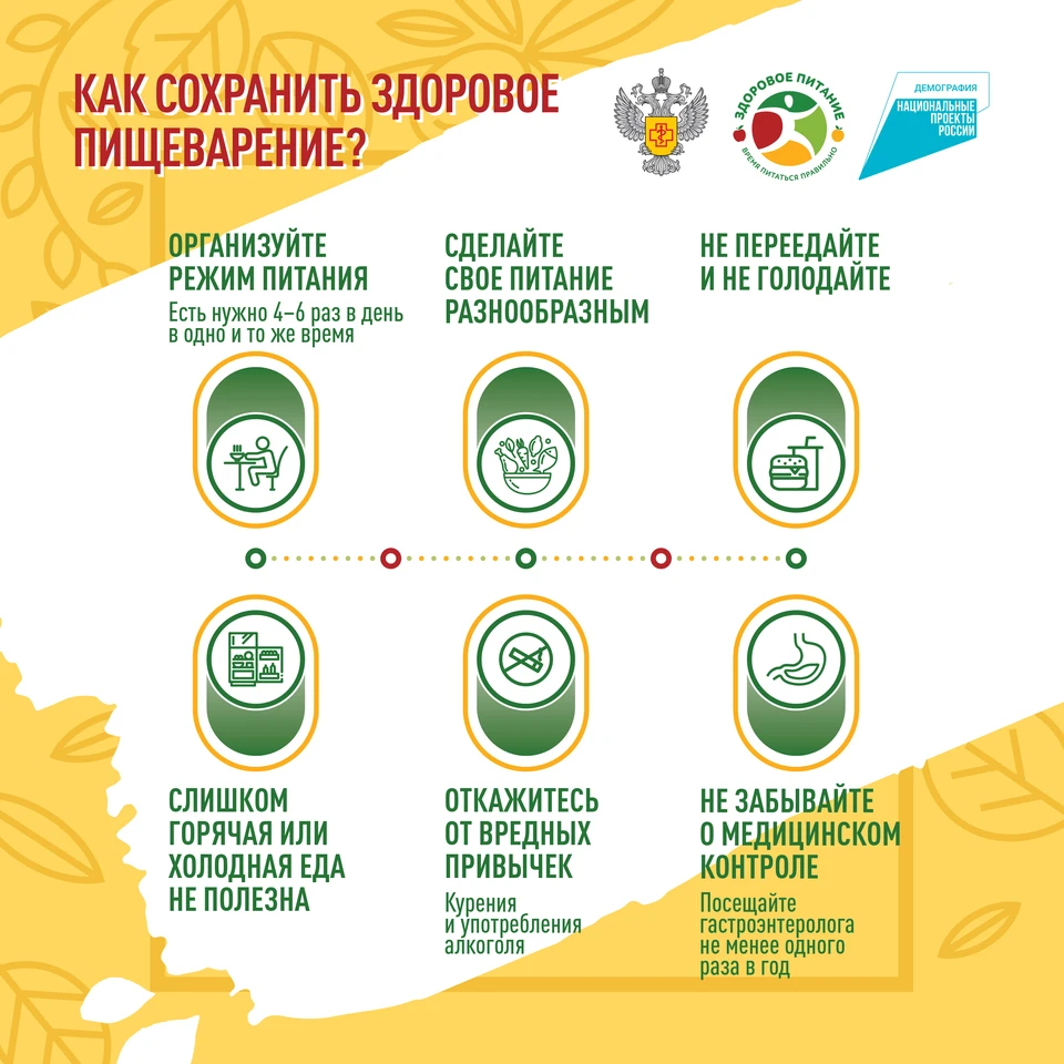 Топ-5 продуктов для здорового пищеварения - KP.RU