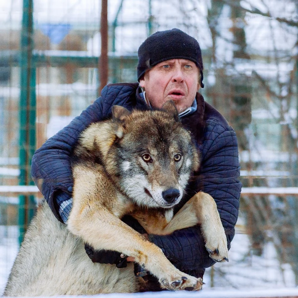 Животные останутся без своего дома.