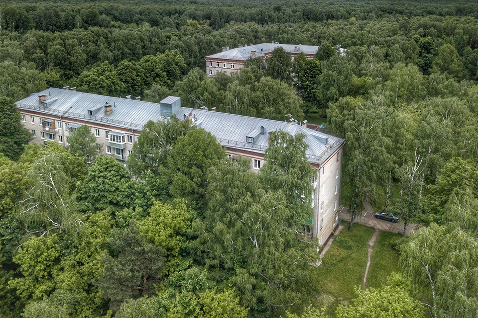 Оказывается, в «Лосином острове» живут не только зайцы и лисы, но и обыкновенные москвичи.