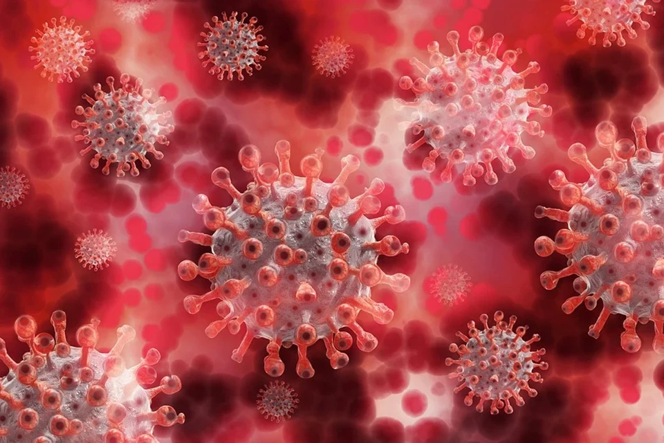 Медики зарегистрировали в Индии 63 случая прорывной инфекции, когда получивший прививку человек заболел той же болезнью, которую должна предотвратить вакцина. Фото: pixabay