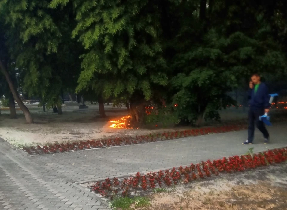 На Текутьевском кладбище горел пух