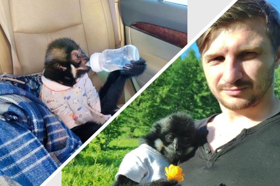 Еще пару лет назад Дмитрий и подумать не мог, что станет папой для обезьянки. Фото: Предоставлено хозяином обезьяны Дмитрием