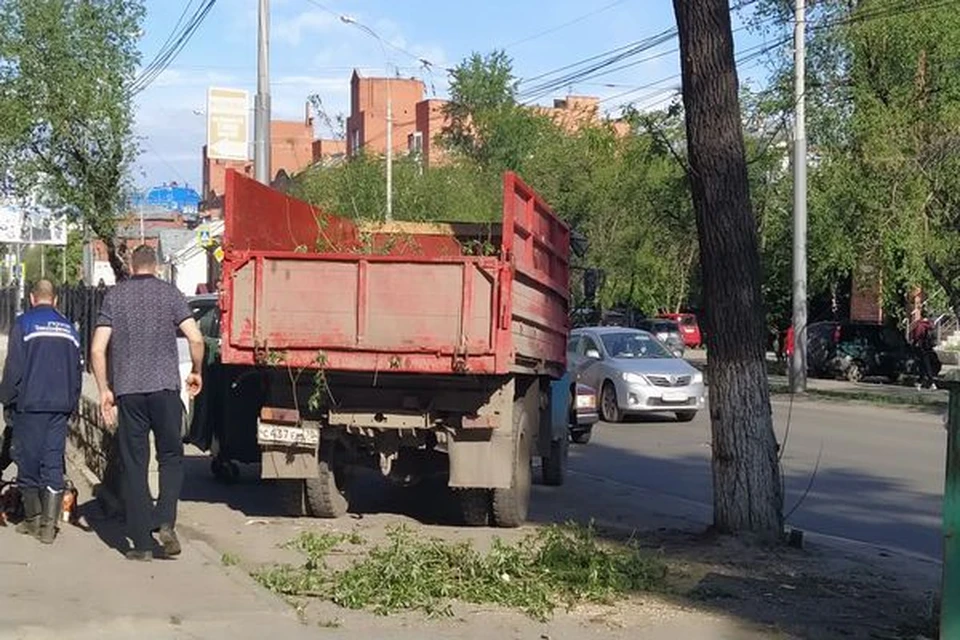 Специальные службы убирают остатки деревьев, упавших на улицах Томска. Фото: пресс-служба городской мэрии.