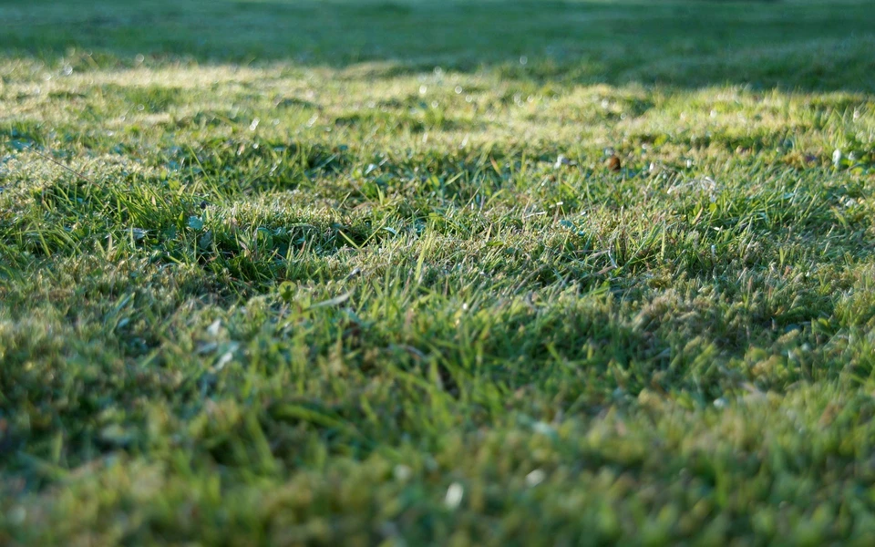 Фото: с сайта pixabay.com