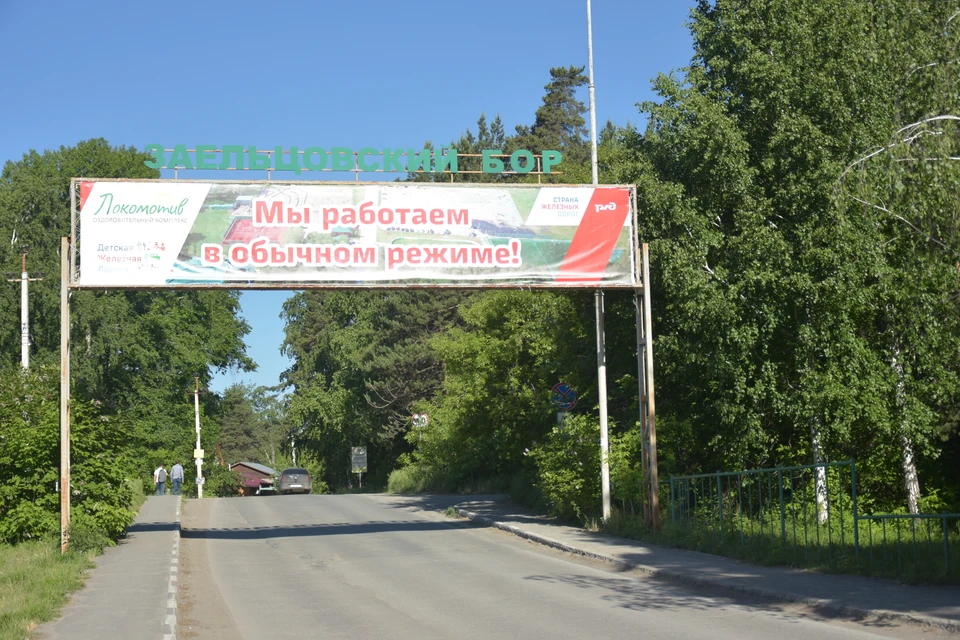 Заельцовский бор - любимое место для сибиряков.