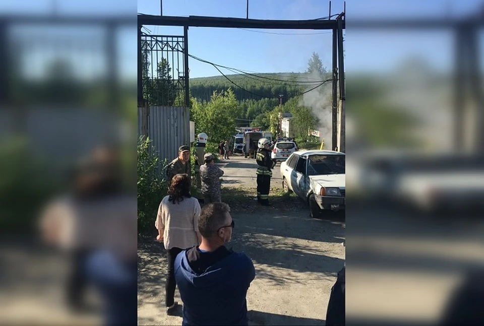 Фото: группа «Это Лесной, детка» во «ВКонтакте»