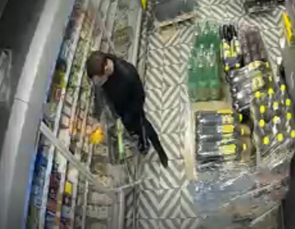 Житель Сургута украл 6 килограммов сыра Фото: видеоскриншот с камер ОМВД России по г. Нефтеюганску