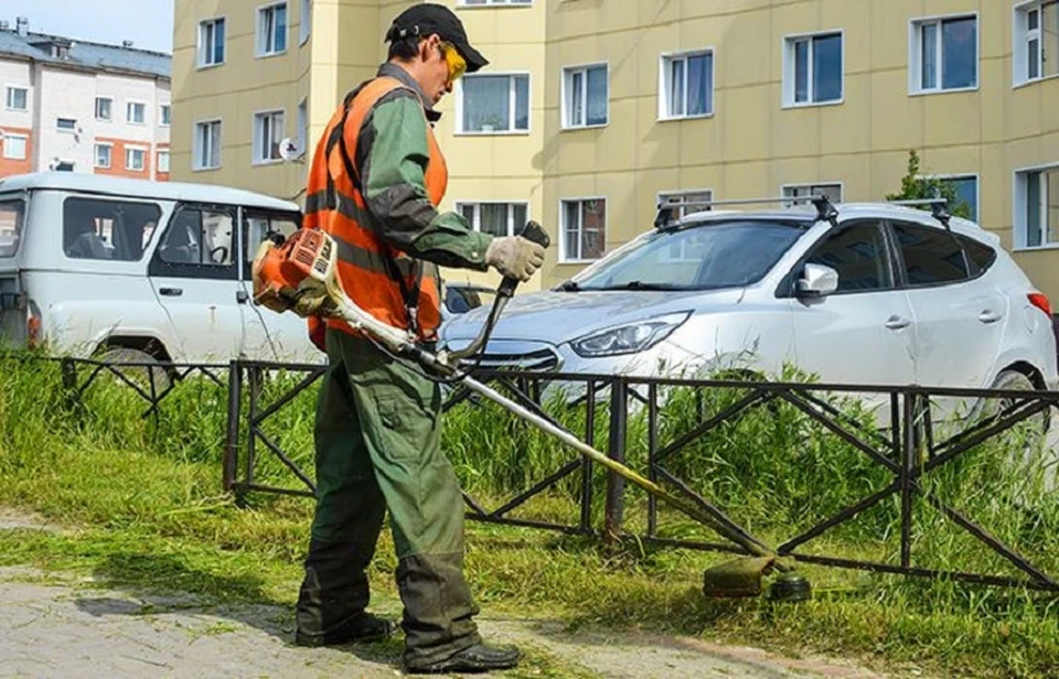 В Томске ведутся работы по выкосу травы на территории общественных пространств, возле торговых центров и многоэтажек. Фото Валерия Доронина (пресс-служба мэрии).