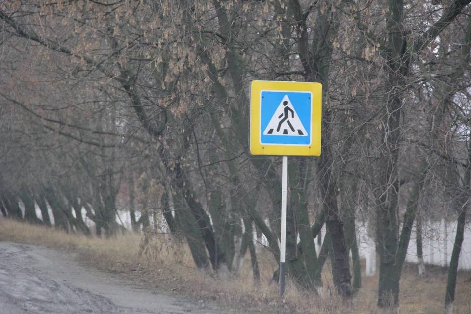 Проводится проверка