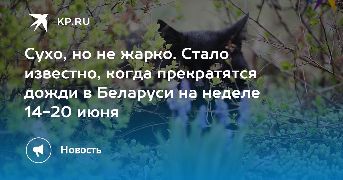 Мечта может осуществиться дождь должен прекратиться. Дождь должен прекратиться. Синоптики говорят.