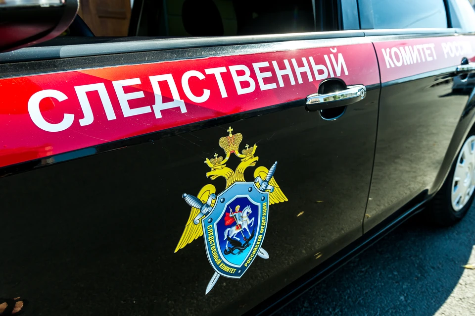 Следственный комитет начал проверку после падения на женщину куска фасада в центре Петербурга