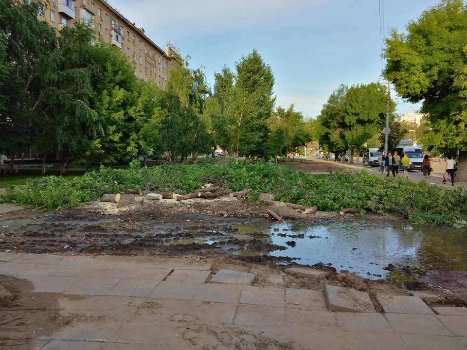 В сквере в Мирном переулке спилили деревья. Фото Александра Васильева из группы «Саратов Life»