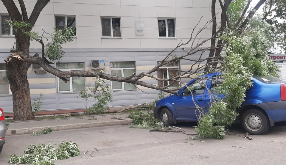 Фото: читатель КП-Челябинск