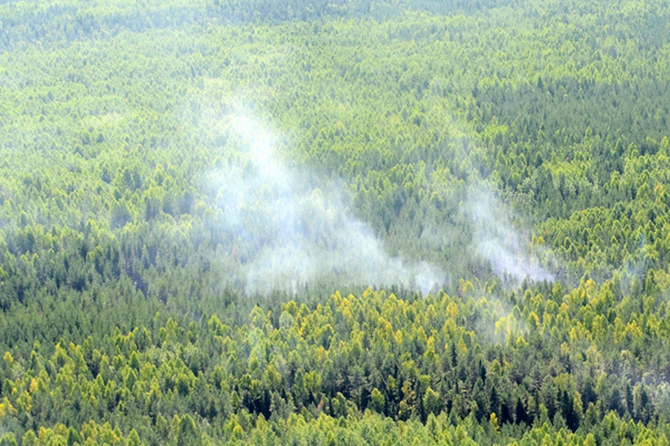 Лесные пожары оперативнее тушить с воздуха. - kirovreg.ru