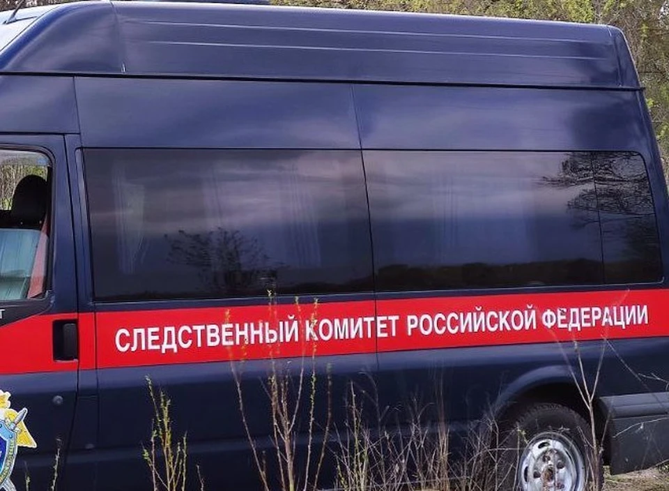 Сейчас по делу проводятся следственные действия